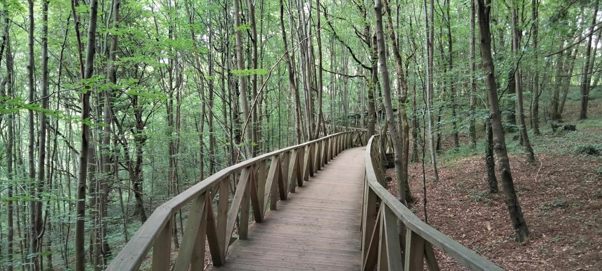 El Mirador De La Hayuela, A 7 Min De Comillas Luaran gambar